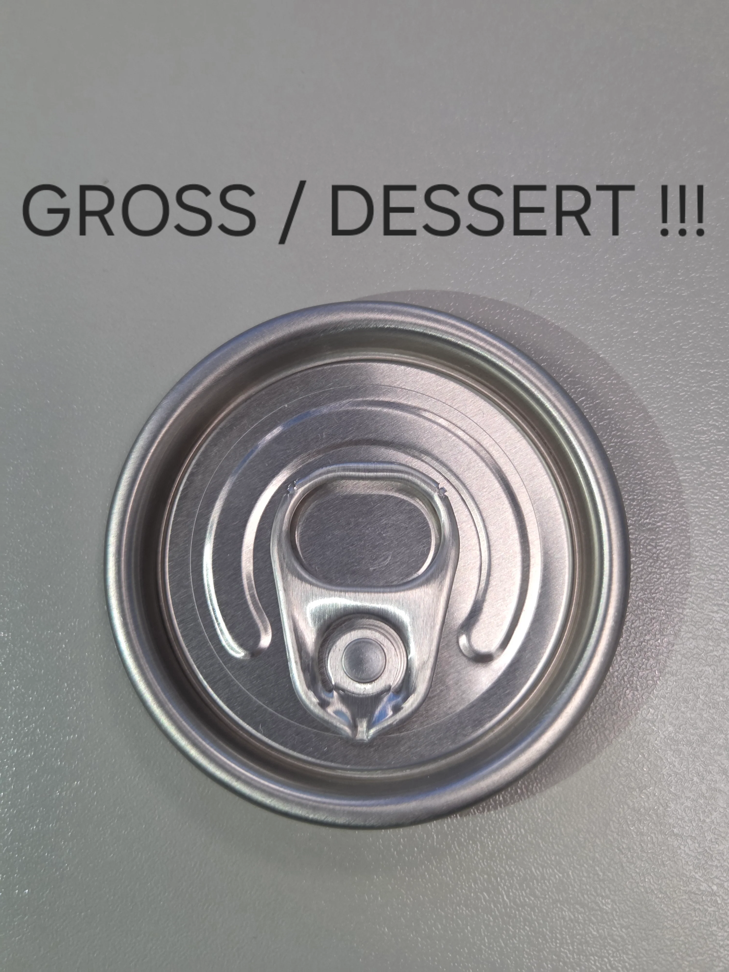 Deckel Dose to Go mit Haken GROSS DESSERT 100 / Strang