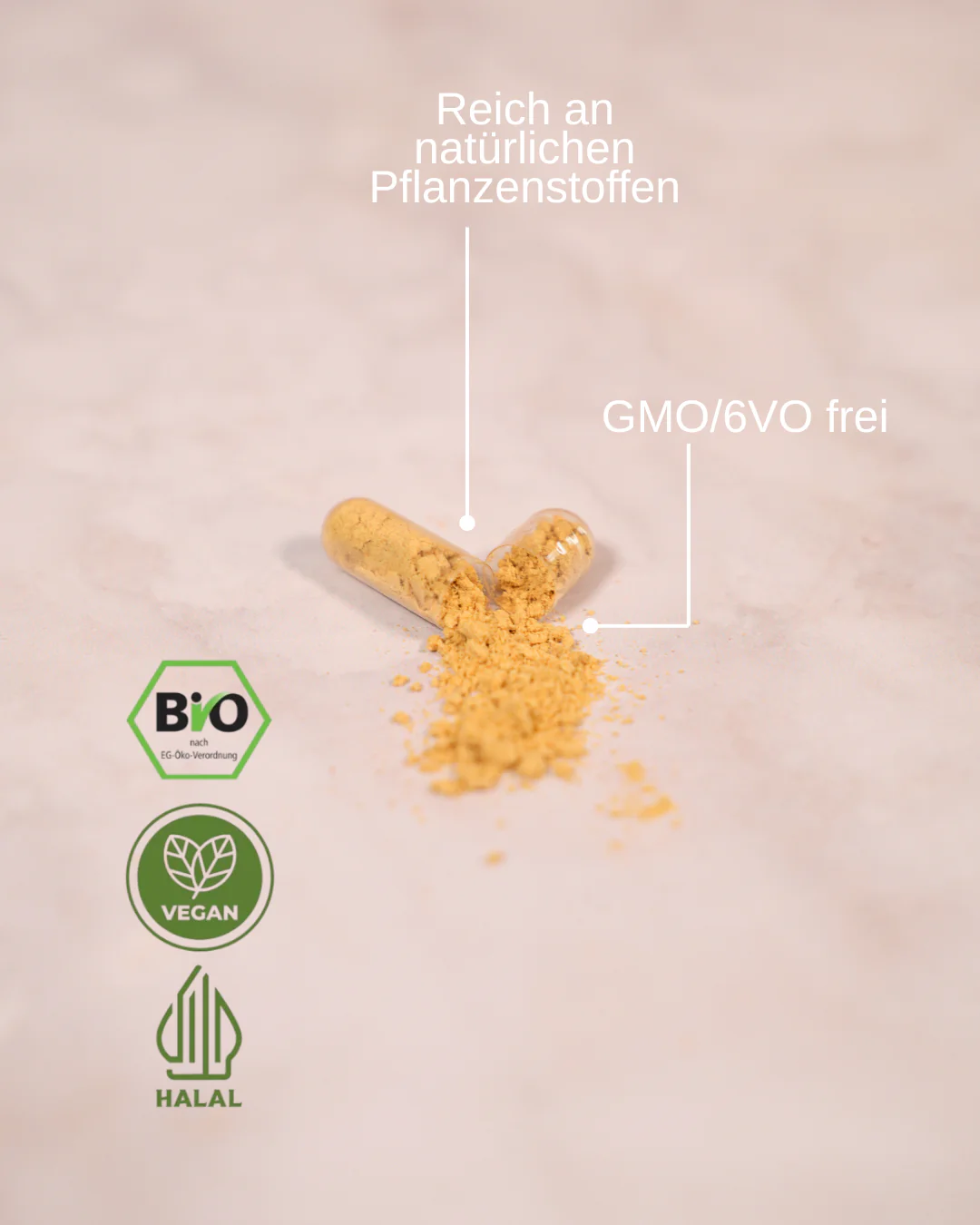 Kikis Bio Bockshornklee Kapseln - BIO - Image 2